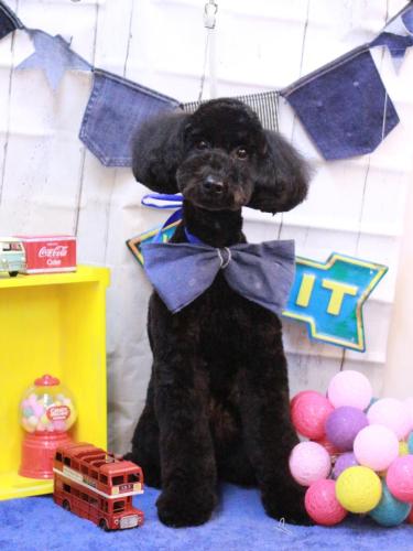 20230425アロちゃん